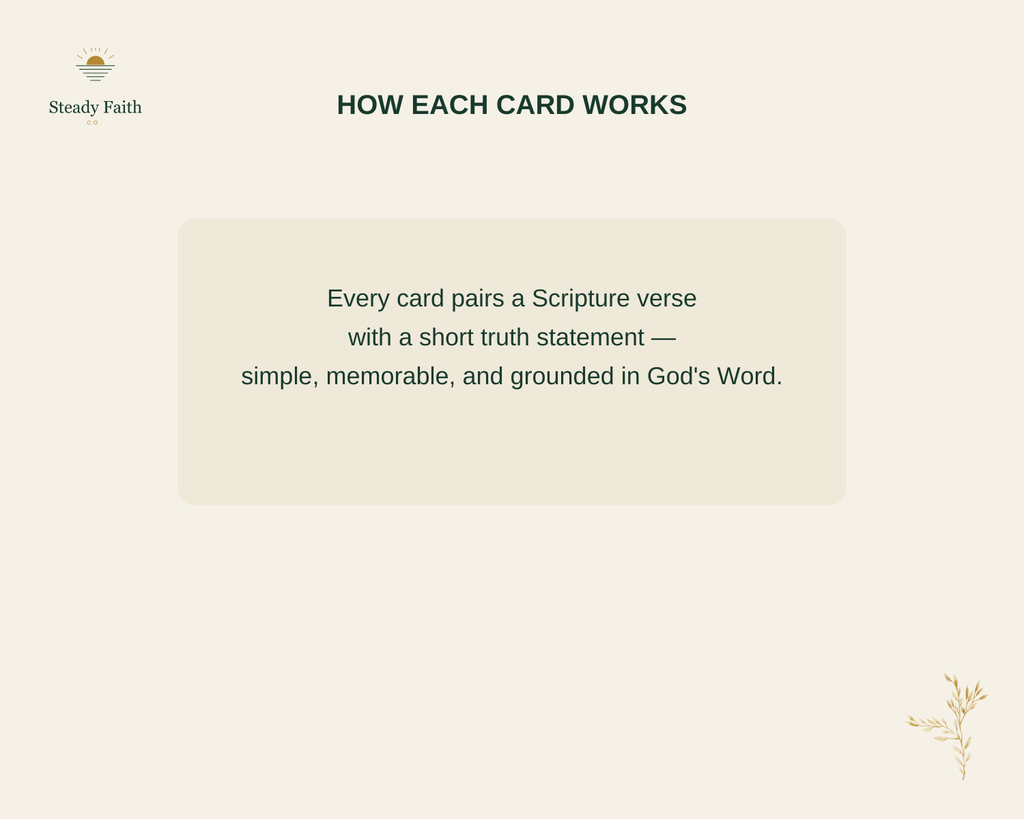 Rooted - How Each Card Works