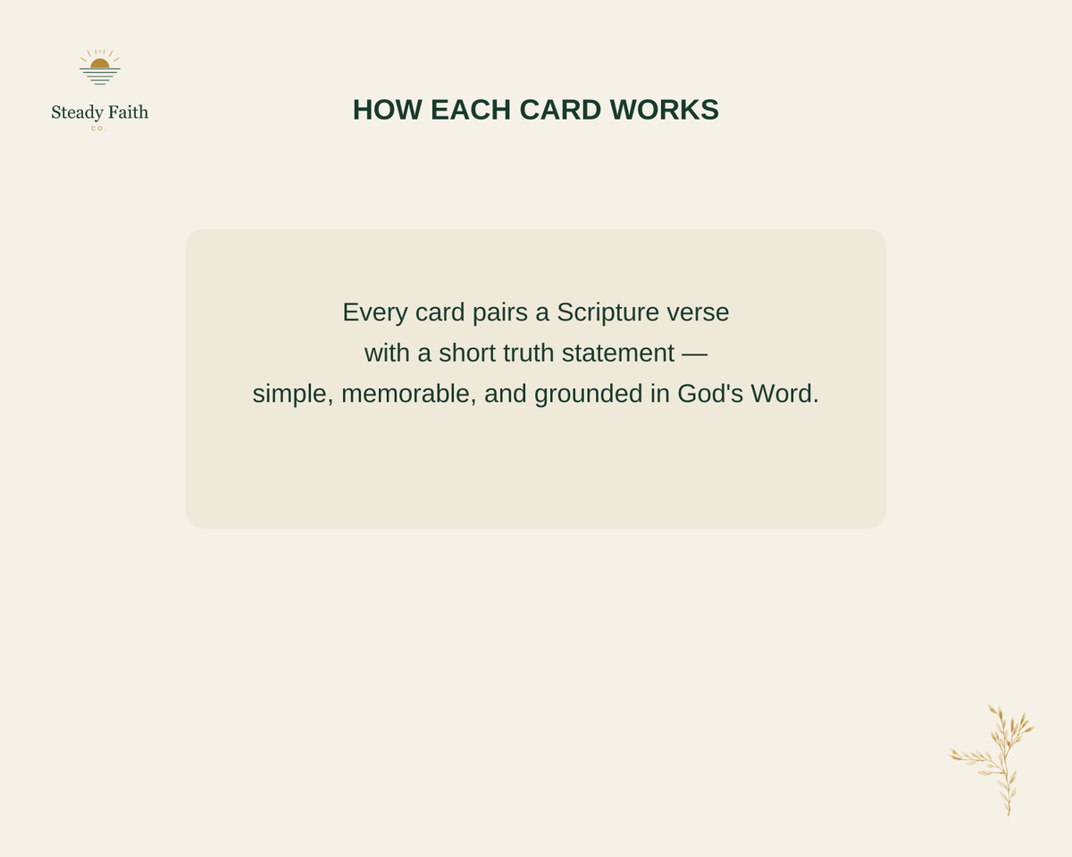 Rooted - How Each Card Works