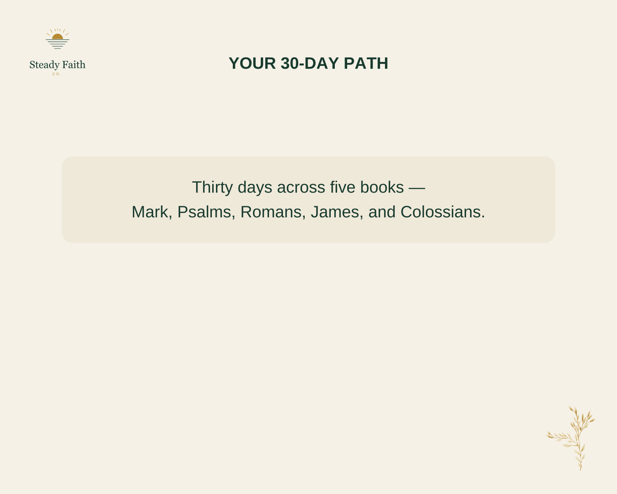 10-Minute Word Habit - Your 30-Day Path