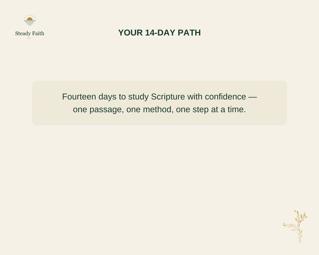Bible Study Without Overwhelm - Your 14-Day Path