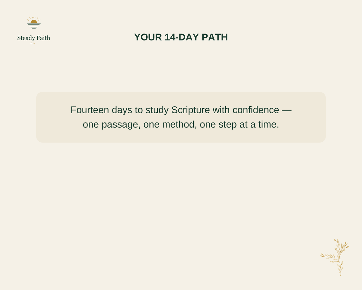 Bible Study Without Overwhelm - Your 14-Day Path