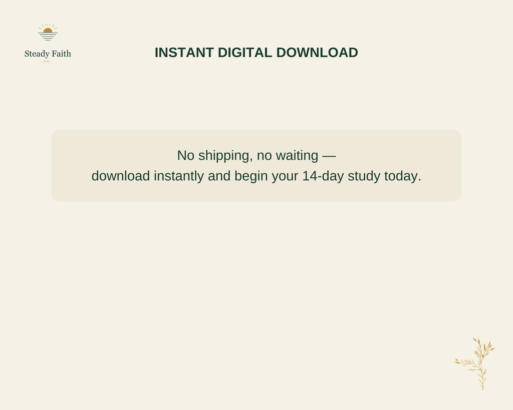 Bible Study Without Overwhelm - Instant Digital Download