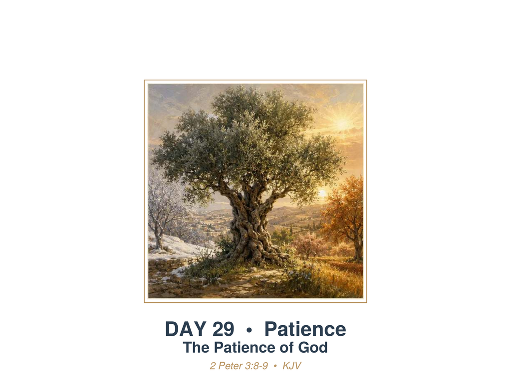 Daily Scripture Companion: Promises of God