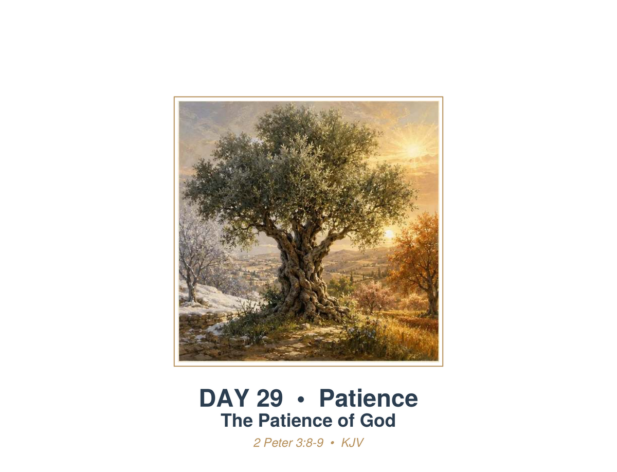 Daily Scripture Companion: Promises of God